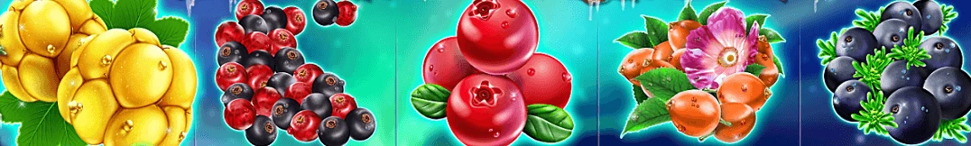 Winter Berries vinstlinje i spelautomaten